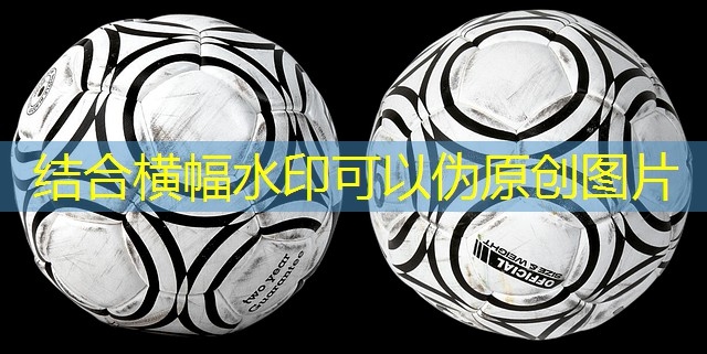 camara vota legalização de cassinos bingos e jogo do bicho camara vota legalização de cassinos bingos e jogo do bicho